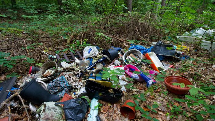 Spürbar mehr Müll in Thüringer Wälder geworfen