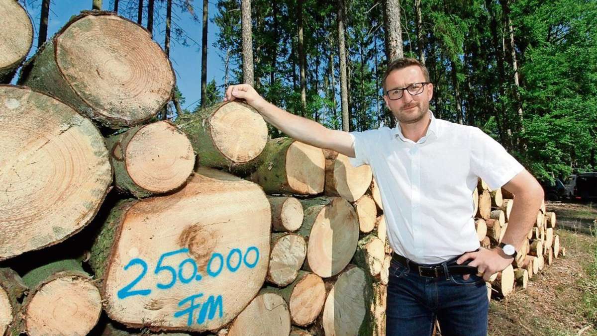 Werra-Bote: Feste Größe selbsttragender Waldstrukturen