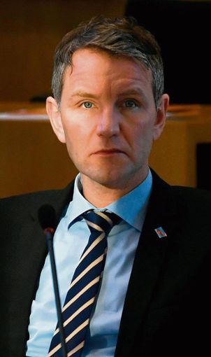 Der Thüringer AfD-Landeschef Björn Höcke. Foto: dpa