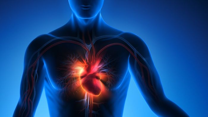 Patientenstatistik: Mehr Herz-Kreislauf-Notfälle in den Kliniken
