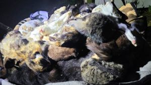 Tierheim Springen: Eine Schubkarre voller toter Tiere