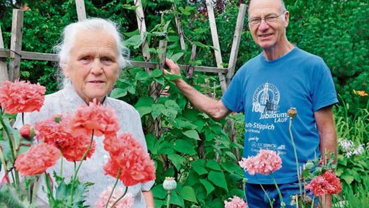 Ilmenau: Blumen aus dem Bauerngarten