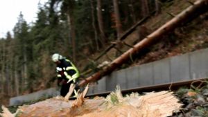 Regionalzug bei Ilmenau durch umgestürzte Bäume gestoppt