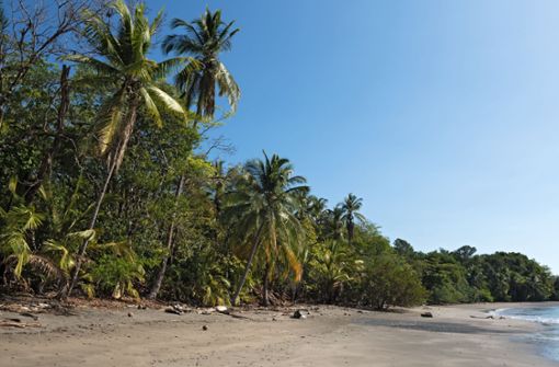 Die Serie „7 vs. Wild“ wird auf einer Insel in Panama gedreht (Symbolfoto). Foto: PantherMedia / Imago/Rainer Lesniewski