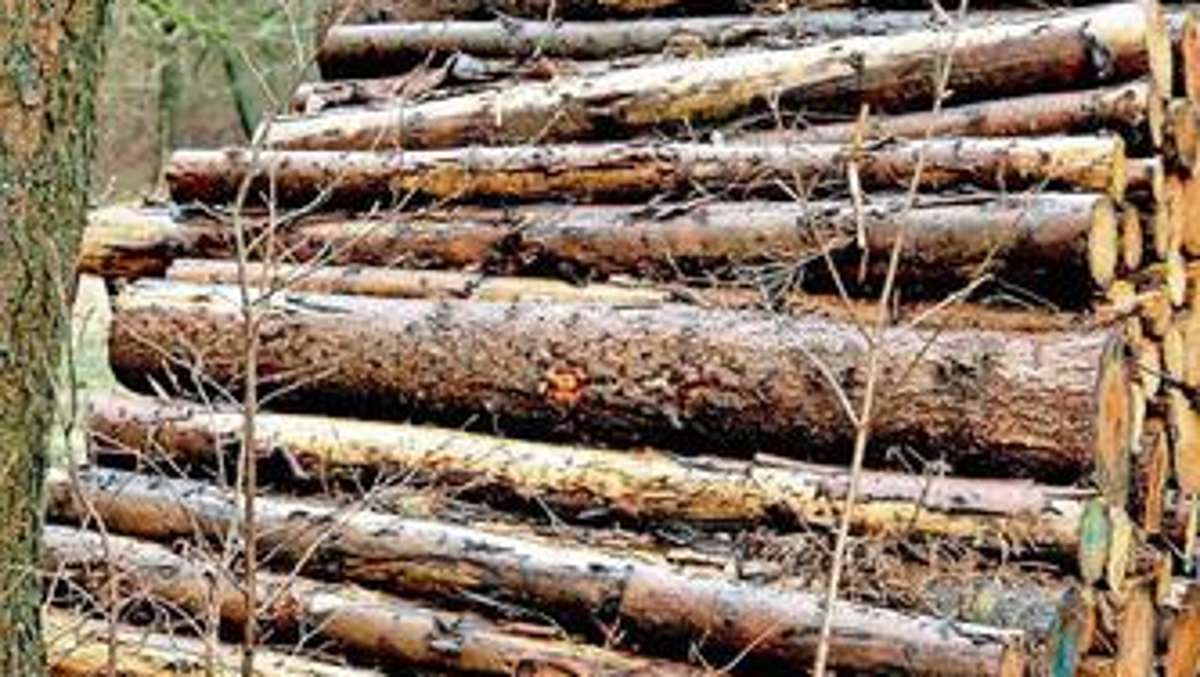 Hildburghausen: Beim Holzeinschlag ein Plus von 1000 Festmetern geplant