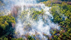 Waldbrand: Wassergraben rund um das Areal gezogen