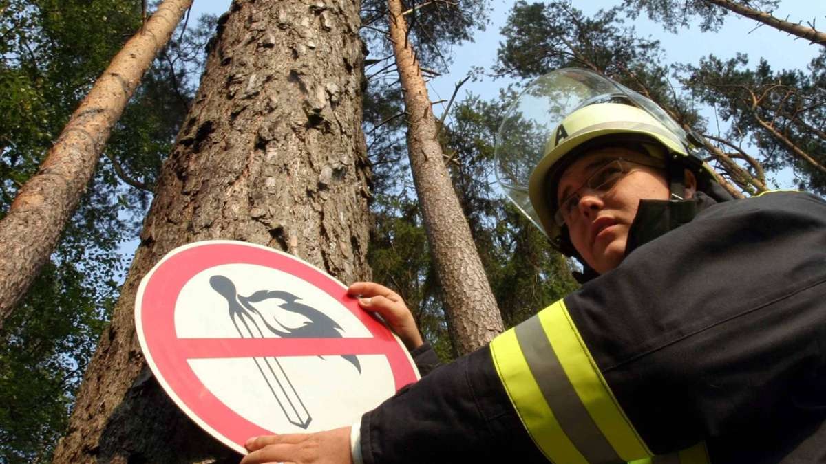 Sonneberg/Neuhaus: Waldbrand bei Lichte: Brandstiftung nicht ausgeschlossen