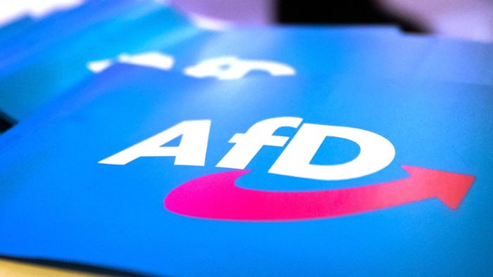 AfD will fairen Wahlkampf per Resolution einfordern