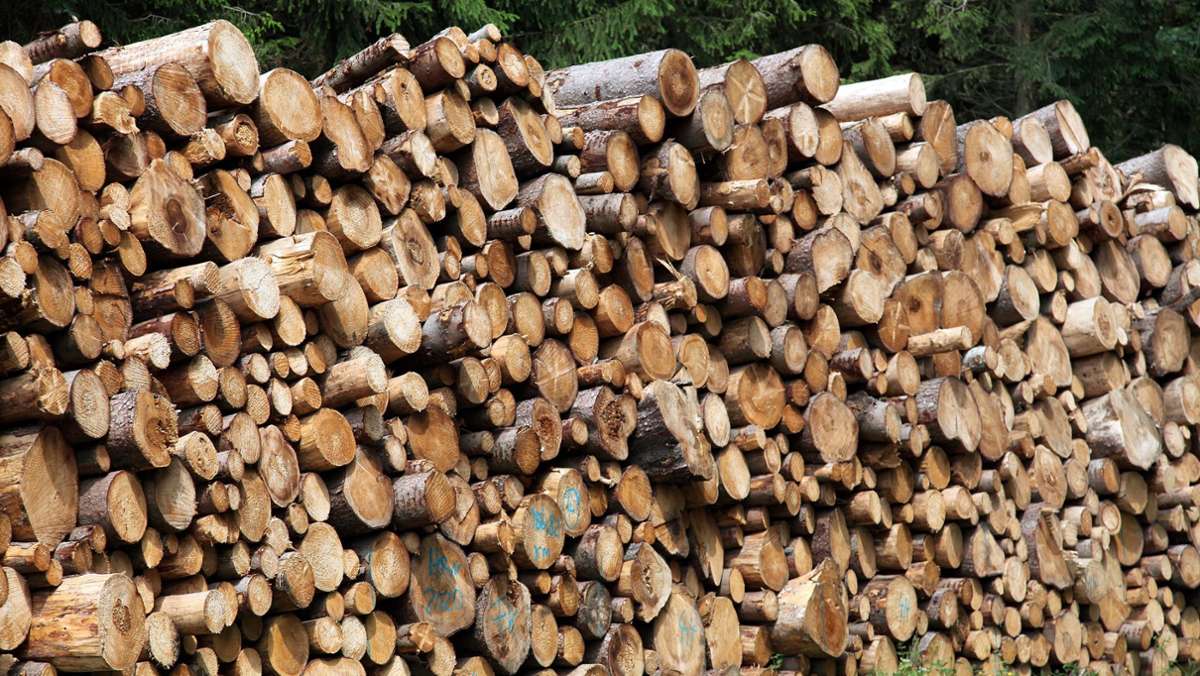 Holz als wertvolles gut: Gemeindewald bleibt wichtiges Thema