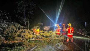 Blockierte Straßen: Feuerwehr beseitigt Sturmschäden