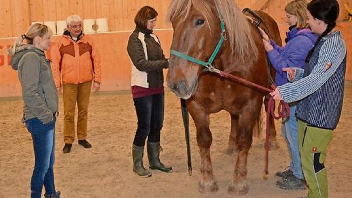 Schmalkalden: Heilpädagogische Arbeit mit dem Pferd