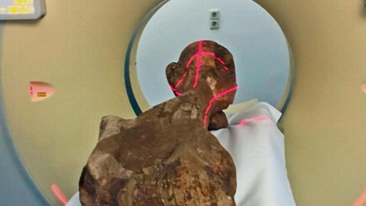 Hildburghausen: Ein Elefant nimmt im CT der Henneberg-Klinik Platz