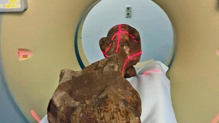 Ein Elefant nimmt im CT der Henneberg-Klinik Platz