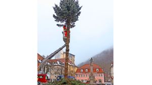 THW-Ortsverband Suhl: Weihnachtsbäume werden Brennholz