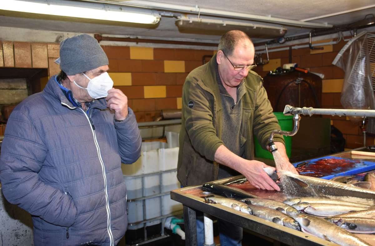 Über die Feiertage herrscht im Keller des Schmalkalder Anglerheims Hochbetrieb. Frank Kehr (rechts), der seit 1998 selbstständiger Fischzüchter ist, verkauft Hunderte Fische und hat viele Stammkunden. Auch Bernd Schneider aus Viernau kommt regelmäßig hierher.