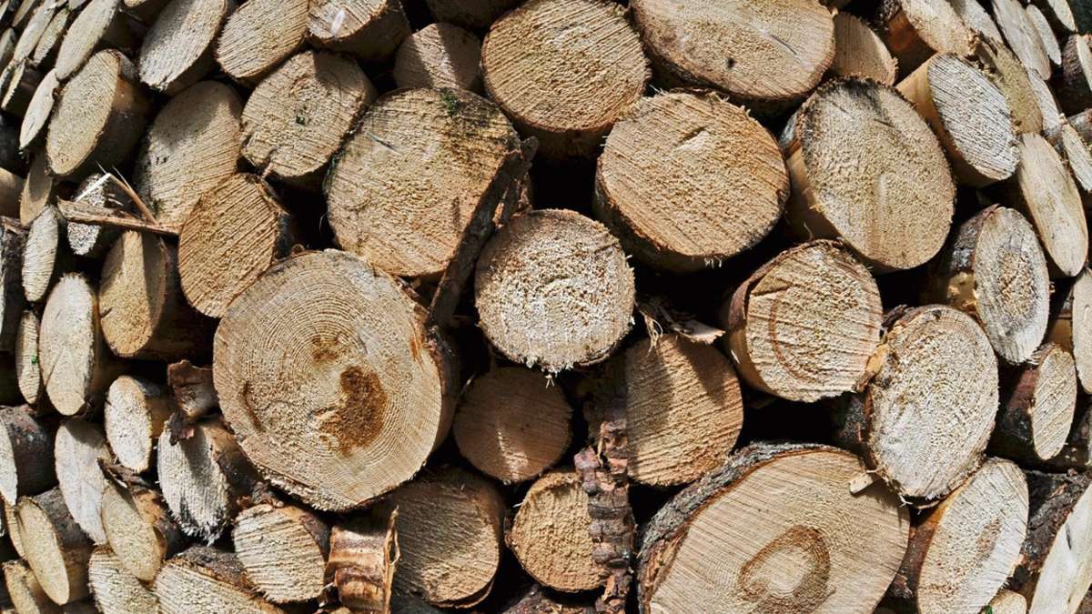 Hildburghausen: Einfach frisch gefällte Bäume aufgeladen und abtransportiert