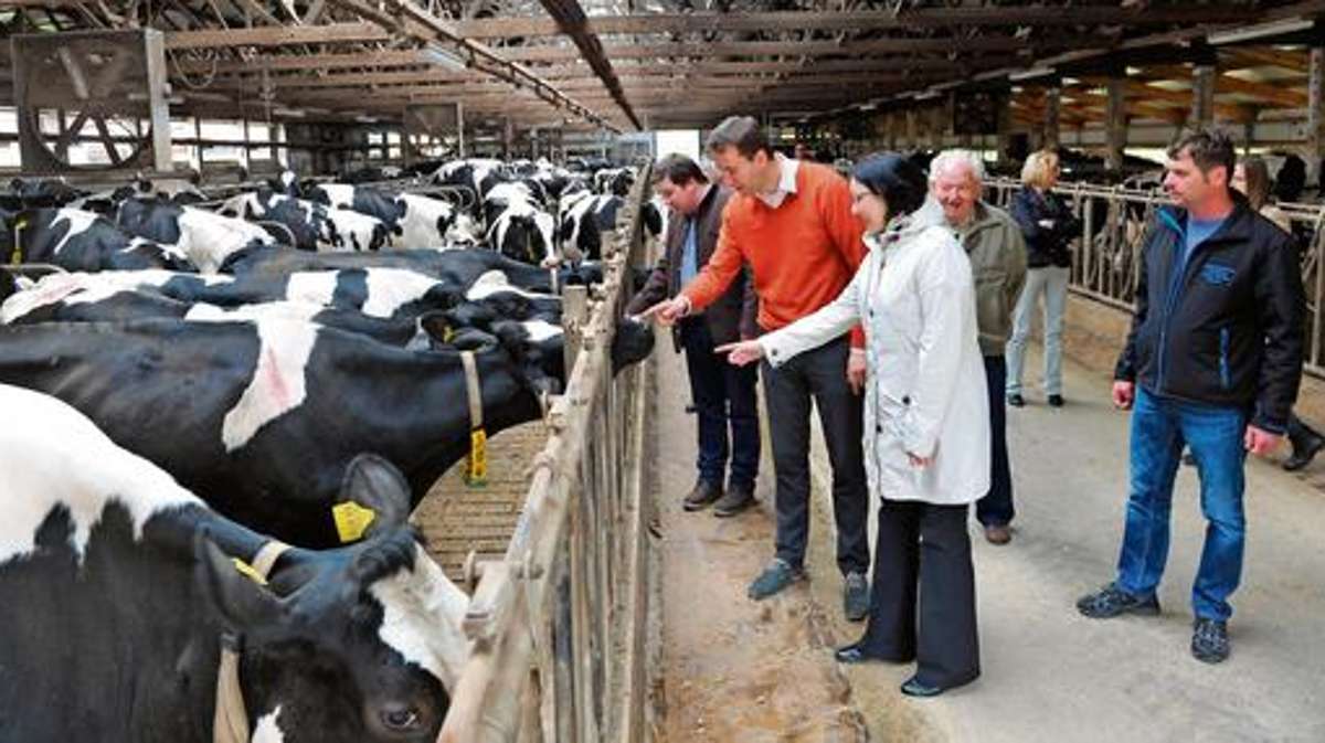 Hildburghausen: Stippvisite in der Wellnessoase für Milchkühe