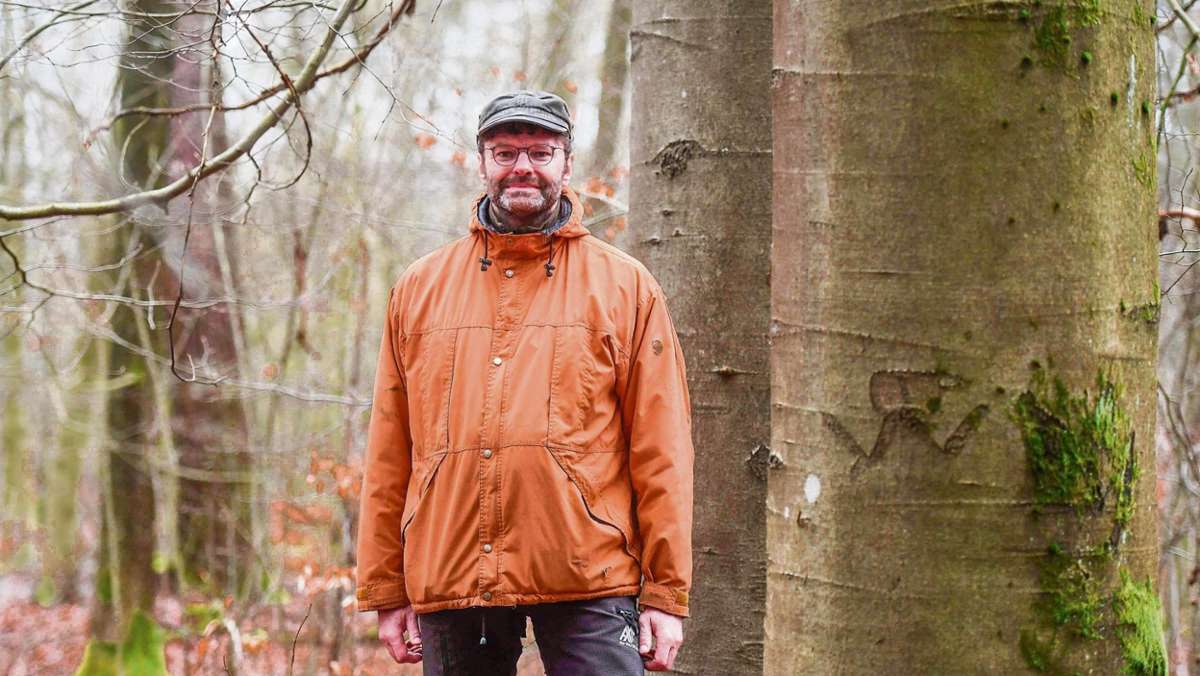 Hildburghausen: Waldumbau braucht einen langen Atem