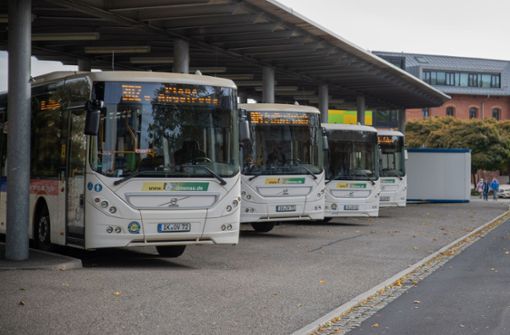 Die Busse der IOV am Busbahnhof in Ilmenau. Foto: Andreas Heckel