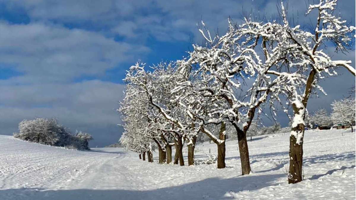 Winter in der Rhön: Rhön lockt mit Schnee und blauem Himmel