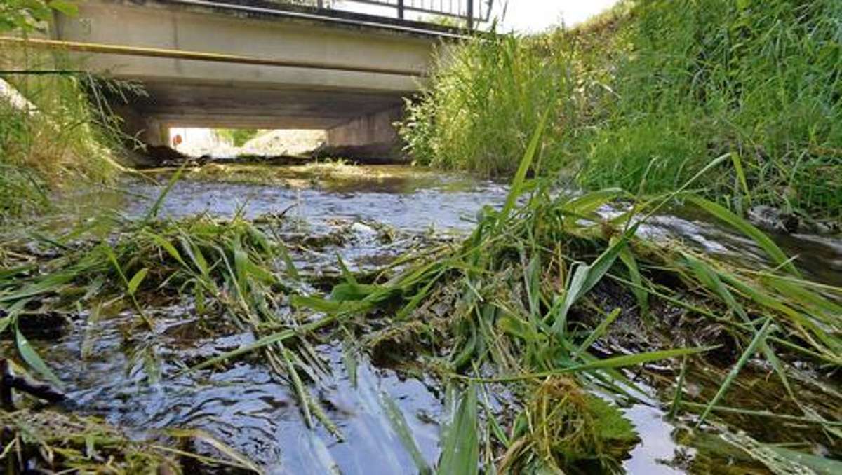 Bad Salzungen: Überflutungen in Barchfeld - Lösung mit Agrargenossenschaft