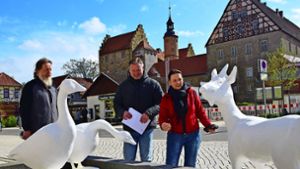 Viehmarkt und Glücksburg: Das wird  Römhilds Fotomotiv Nummer 1