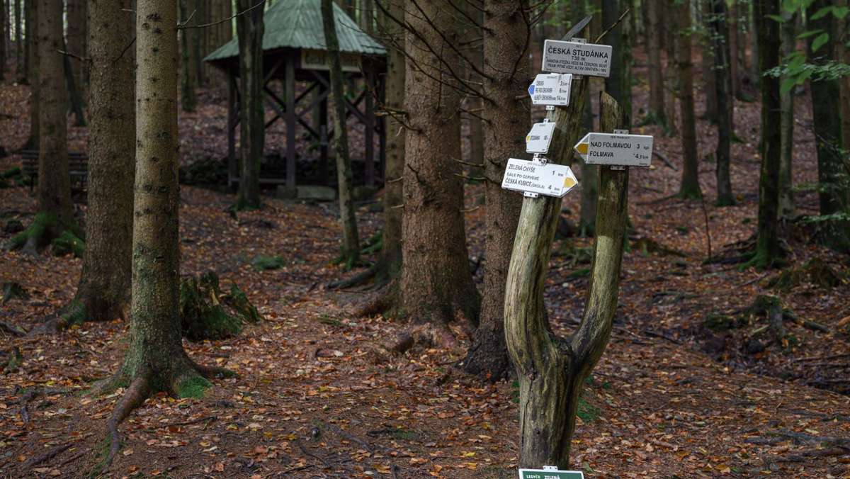 Verschwunden im tschechischen Böhmerwald: Förster findet Julia – das sagt er dazu
