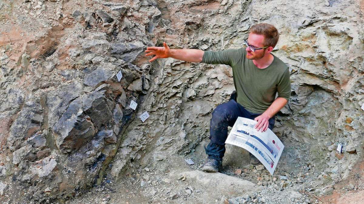 Ilmenau: Weitere Grabung in der Manebacher Formation
