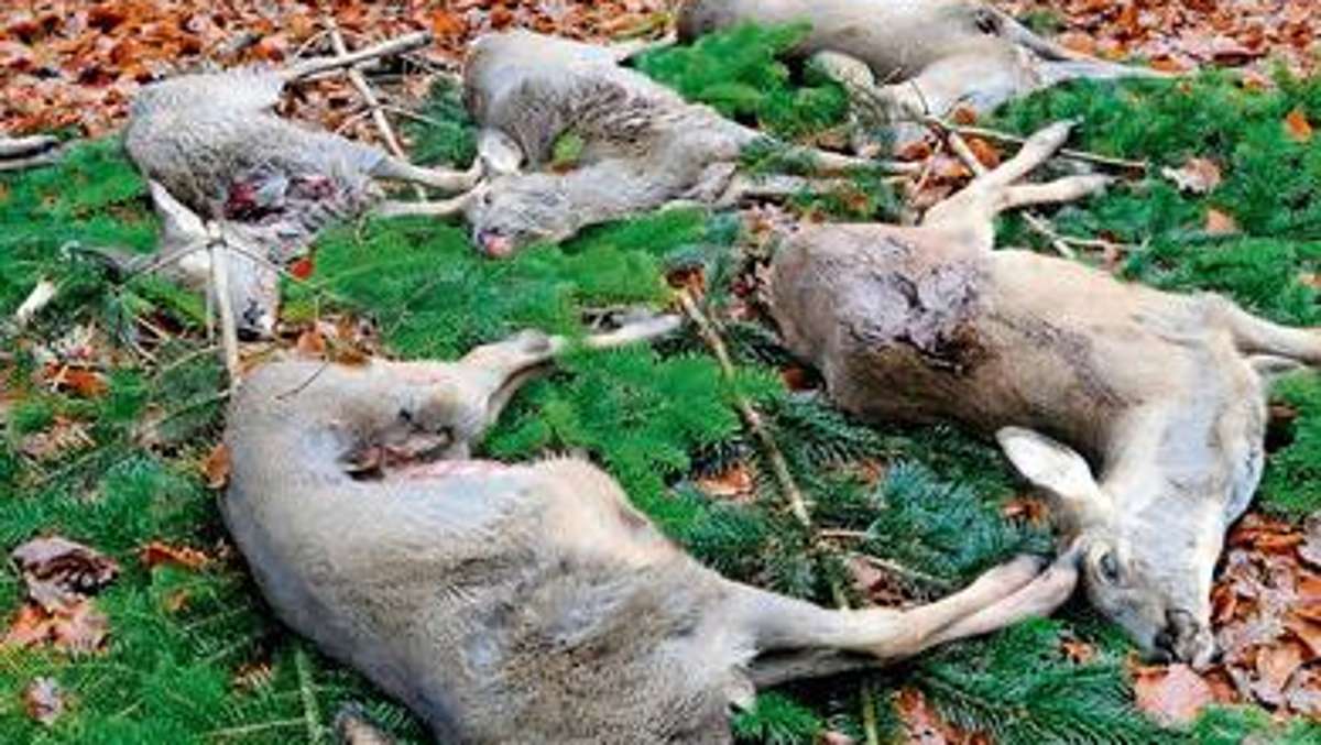 Hildburghausen: Diskussion um die Jagdsteuer geht weiter