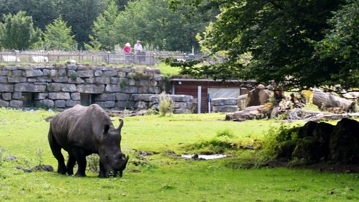 Pflegerin aus Bayern im Zoo Salzburg von Nashorn getötet