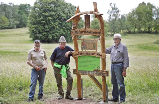 Rainer Jung, Roland Schmidt und Peter Büttner (von links) an der neuen Tafel   an der Naturschutzwiese zwischen Benshausen und Ebertshausen. Foto: /M.  Bauroth