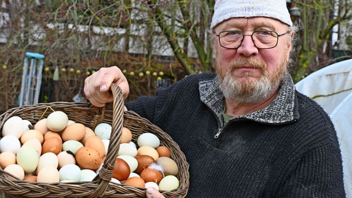 Die Ostergeschichte: Ein Bio-Hühnerhof – mitten in der Stadt