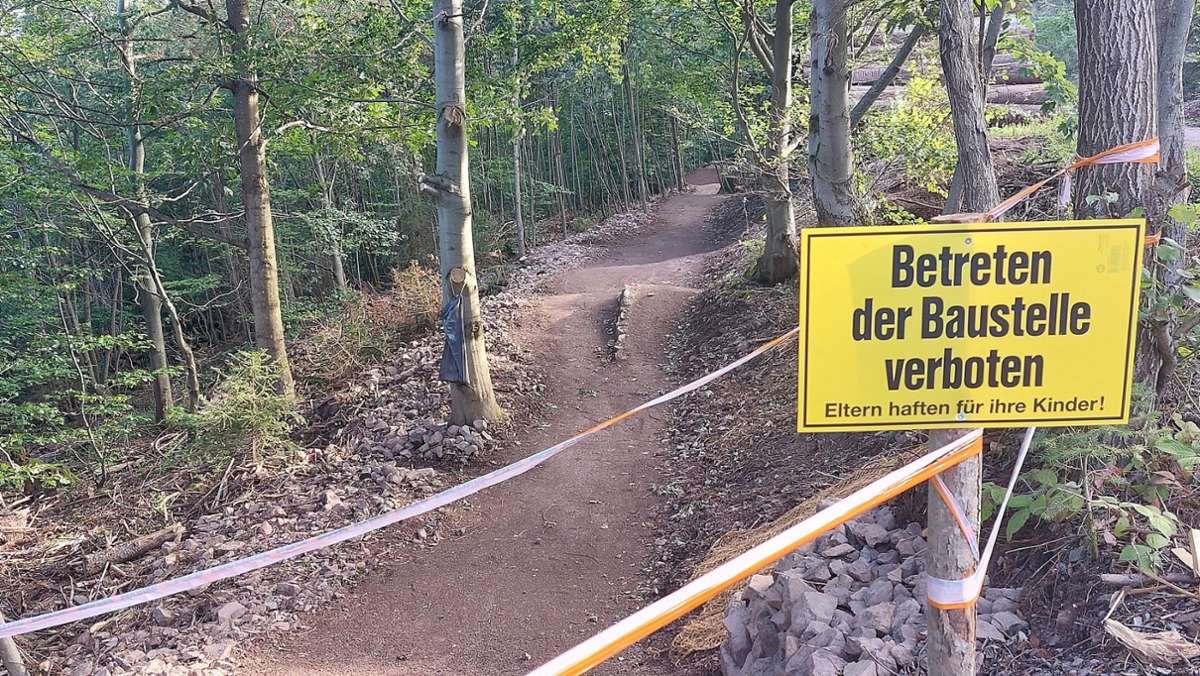 Kurven, Sprünge, Wellen: Bau des MTB-Trails am Lindenberg geht voran