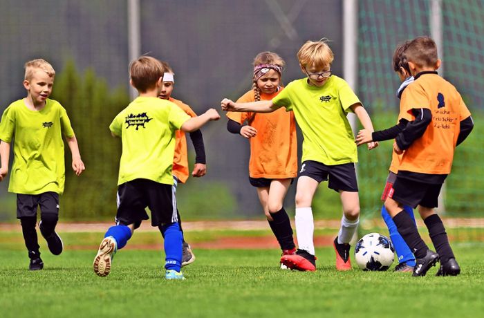 Turnier der Grundschulen: Ost und West – im Fußball  vereint