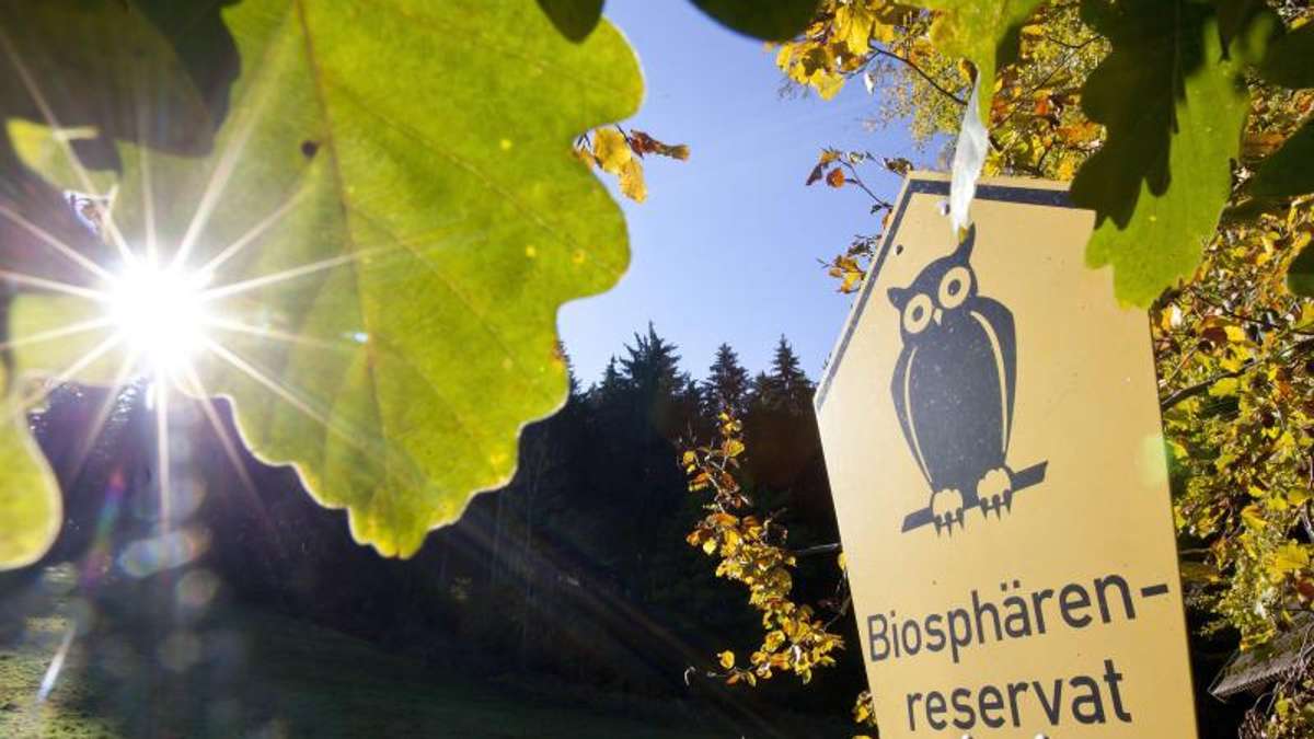 Thüringen: Unesco stimmt Vergrößerung des Biosphärenreservates Thüringer Wald zu