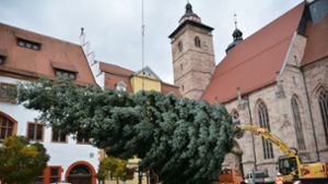 Schmalkalder Weihnachtsbaum aufgestellt