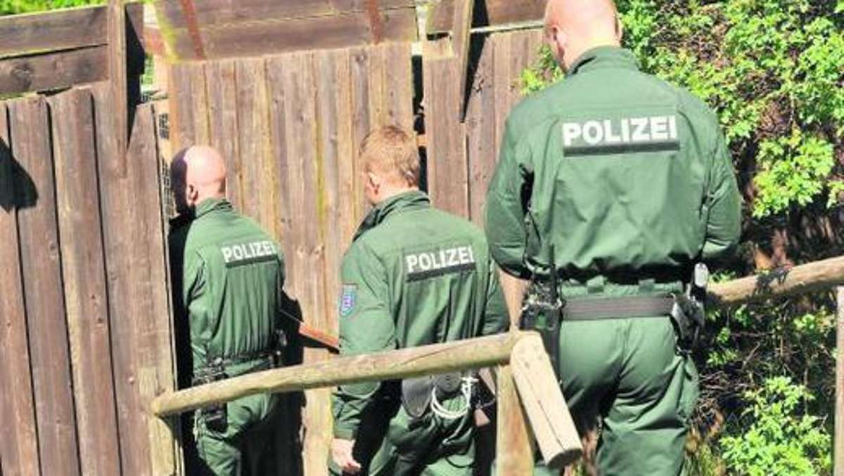 Sonneberg/Neuhaus: Die kriminelle Energie des Waldkauz65