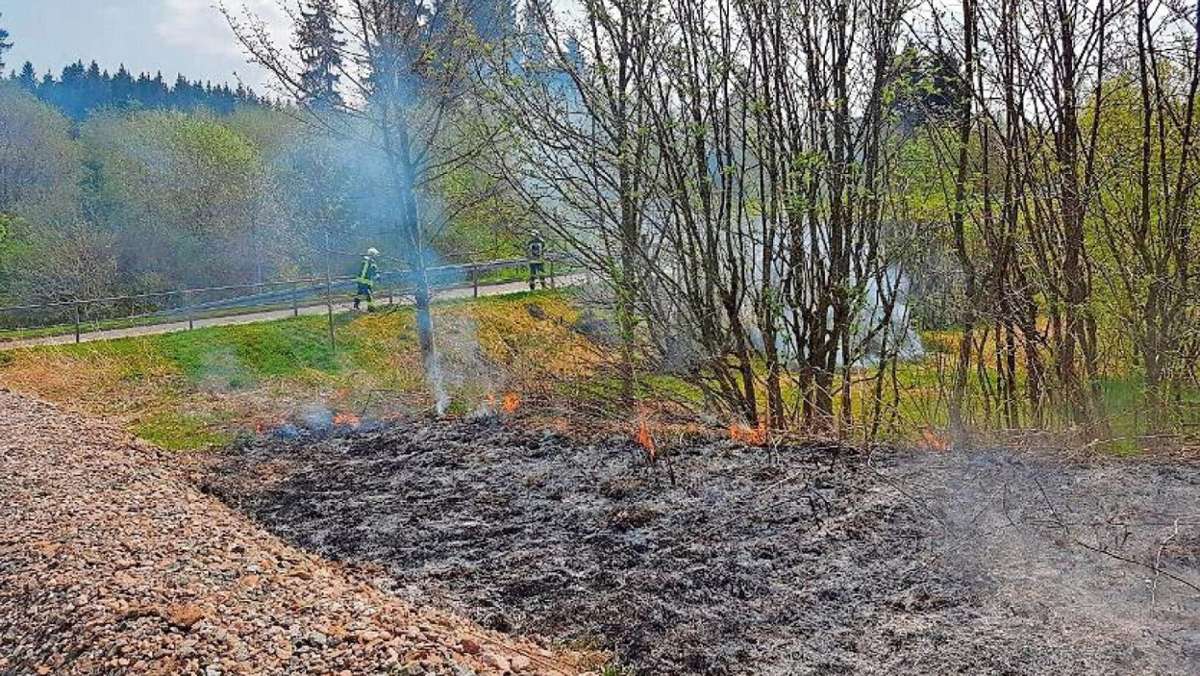 Zella-Mehlis: Trockene Wiese brannte neben dem Bad