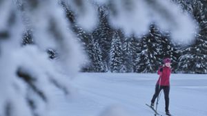Keine Chance für Lernloipen im Biathlon-Winter
