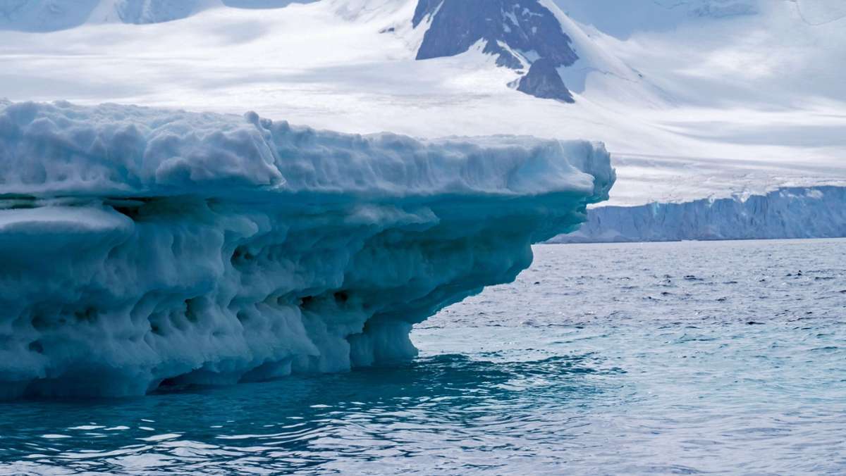 Chasm-1: Riesiger Eisberg löst sich in der Antarktis vom Festland