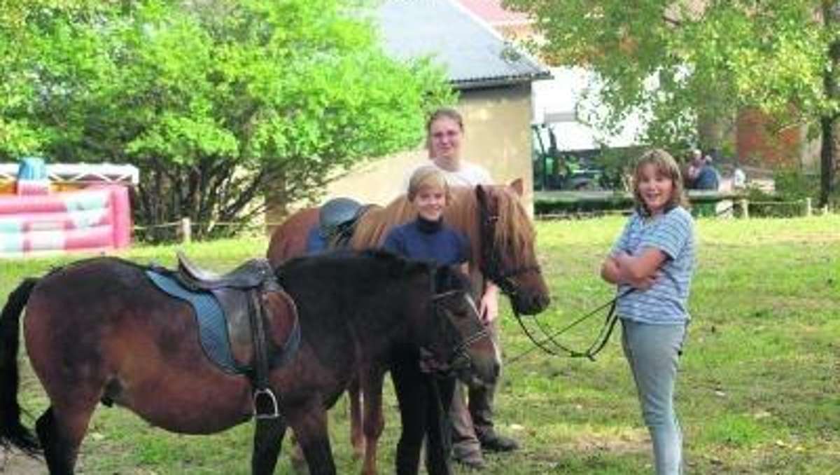 Ilmenau: Neue Besitzer für Pferde mit Schule