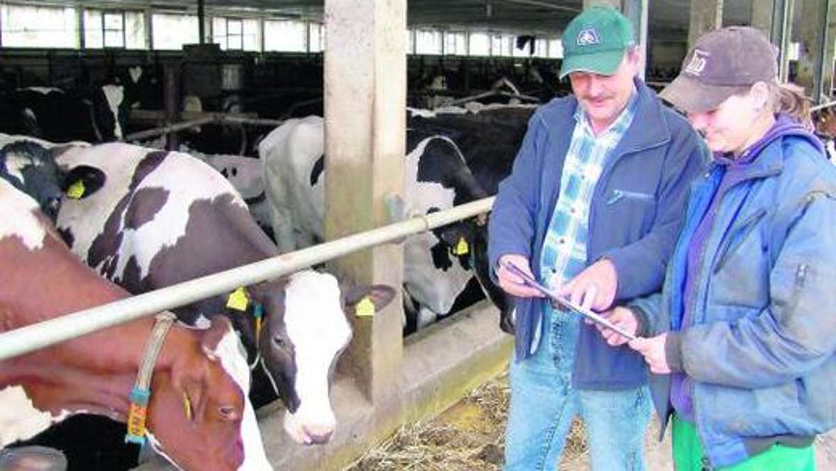Meiningen: Baustart für mehr Kuh-Komfort