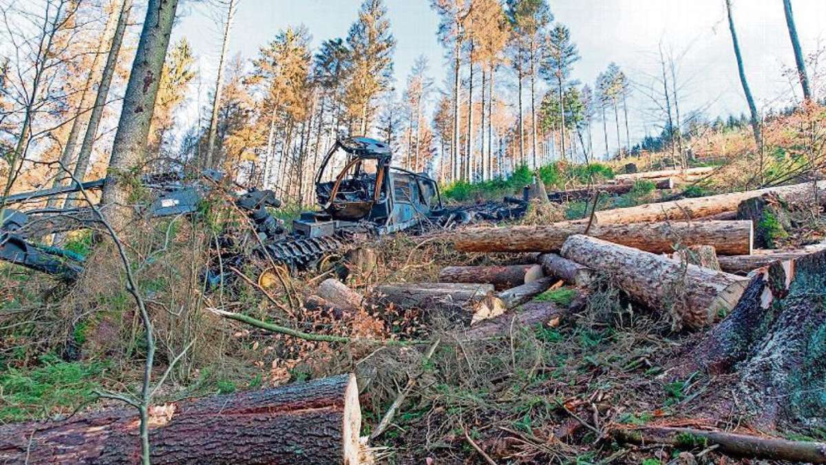 Thüringen: Forst rechnet mit Millionen-Verlust im laufenden Jahr