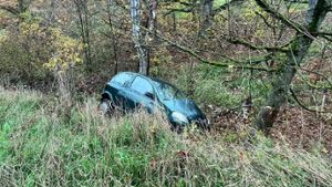 Landkreis Hildburghausen: Auto kracht gegen Baum: Fahrer schwer verletzt