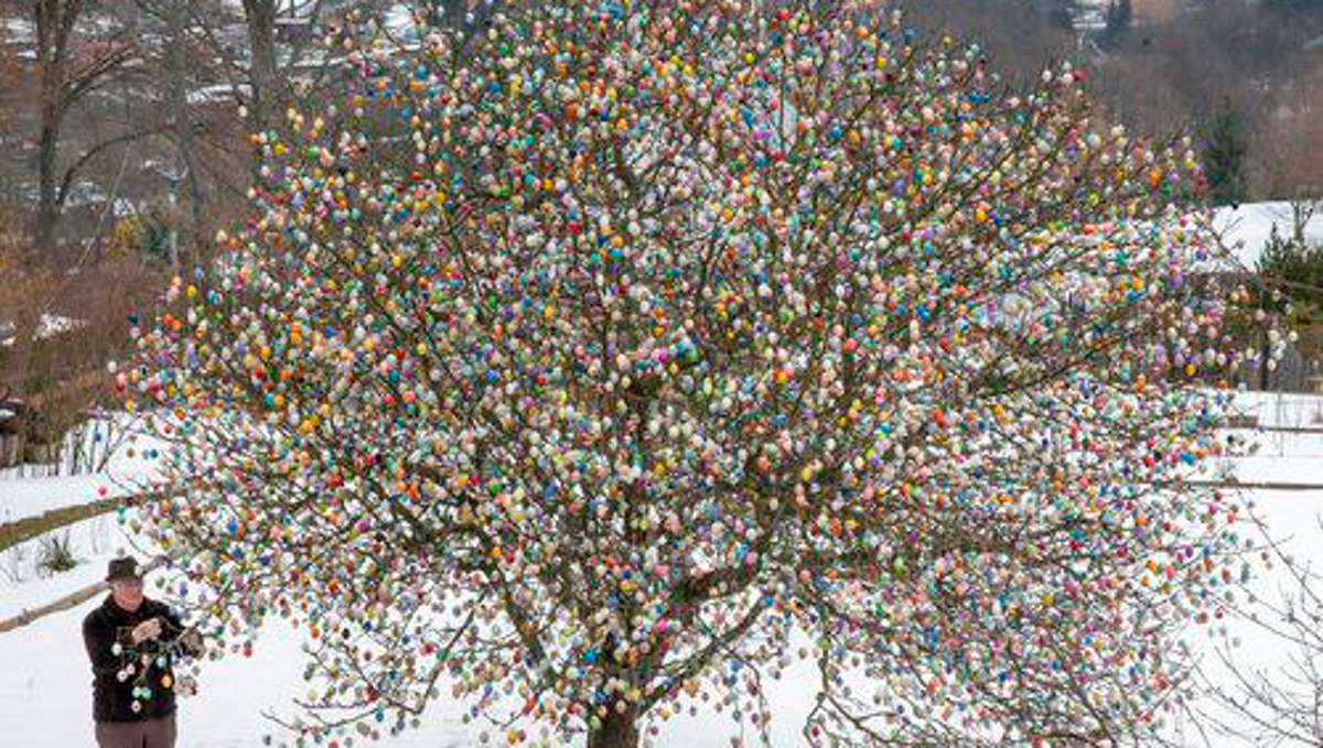 Thüringen: Saalfeld schmückt Ostereierbaum weiter