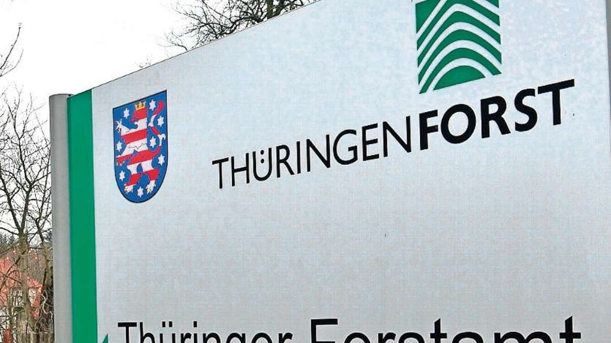 Erfurt: Trotz einiger Ausfälle: Guter Versuch mit nicht-einheimischen Bäumen