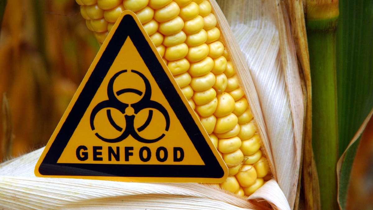 Lebensmittel: EU-Parlament für weniger strenge Gentechnikregeln