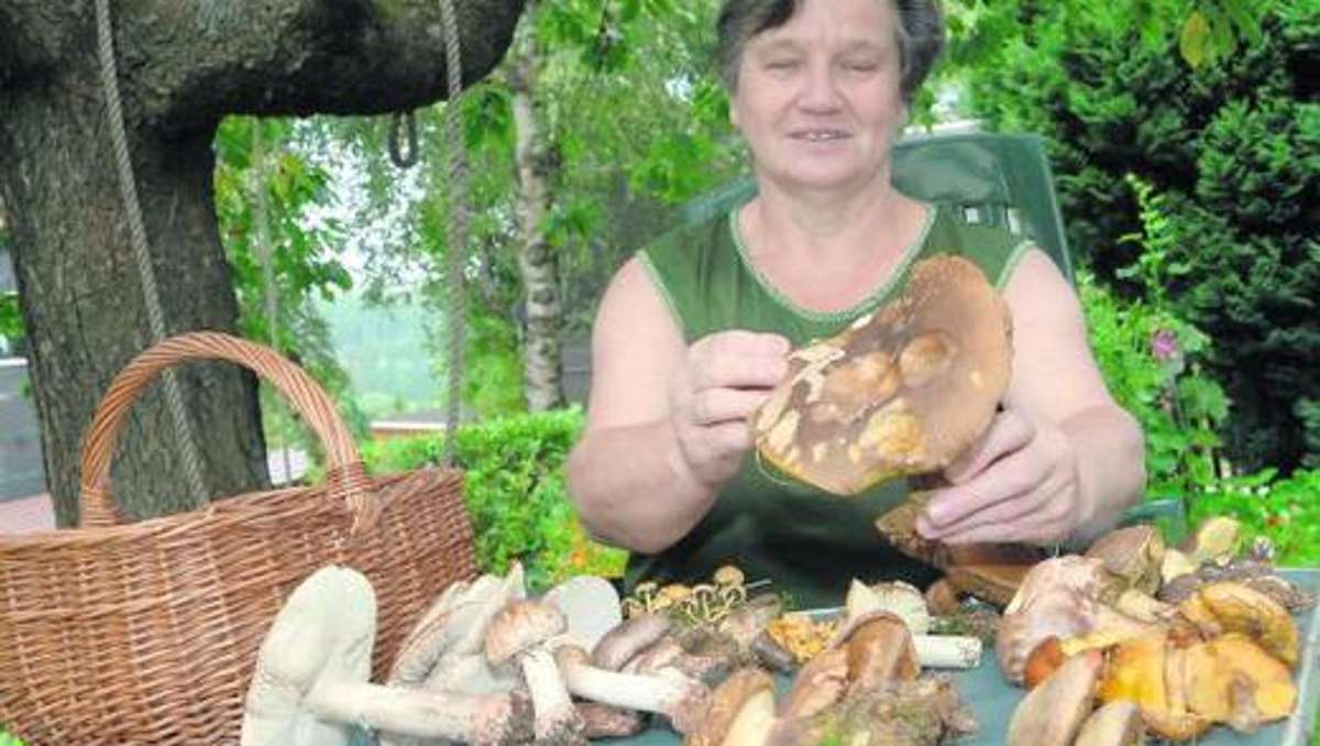 Ilmenau: Pilze schauen nicht auf den Kalender