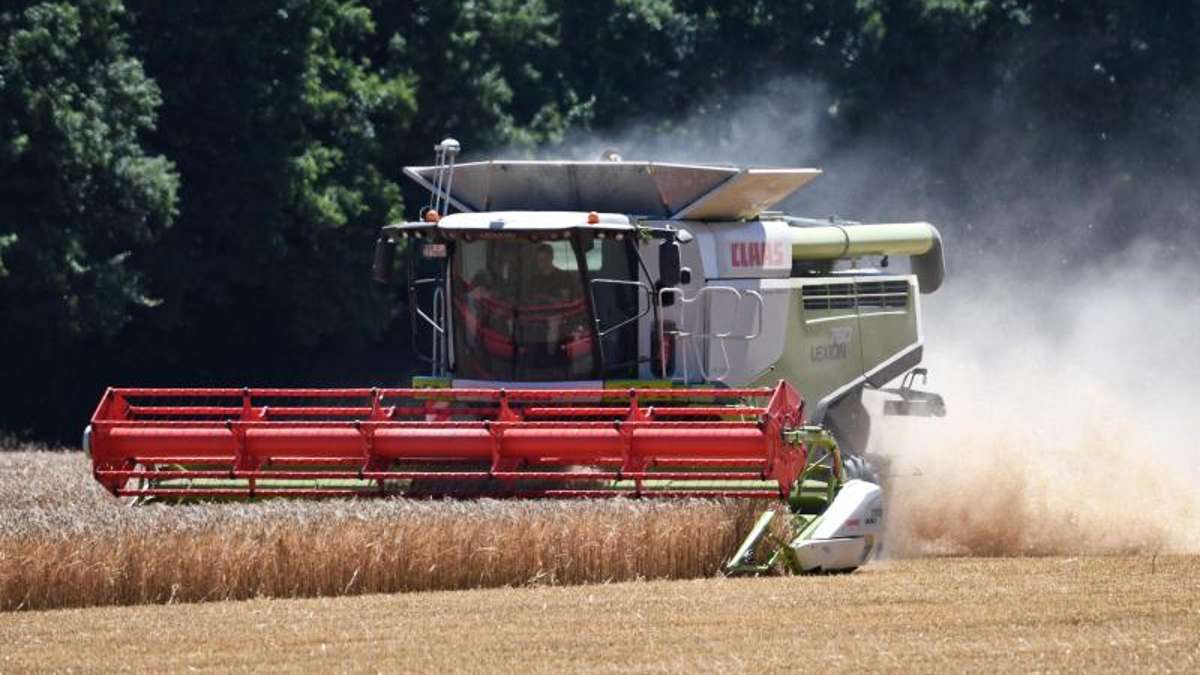 Thüringen: Thüringer Bauern 2019 mit unterdurchschnittlicher Ernte