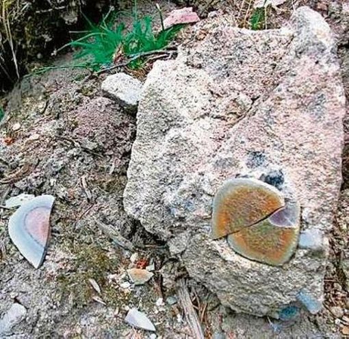Friedberg-Sandstein mit eingeschlossenem Uranglimmer.	Foto: R. Schafft Quelle: Unbekannt